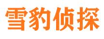 泸定市婚姻出轨调查